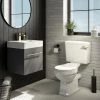 Valencia Cloakroom Suite (Gloss Grey Vanity with Brushed Brass Handle + Toilet) 2 Valencia Cloakroom Suite (Gloss Grey Vanity with Brushed Brass Handle + Toilet) -Cloakroom Suites Shop VALCSGBB p